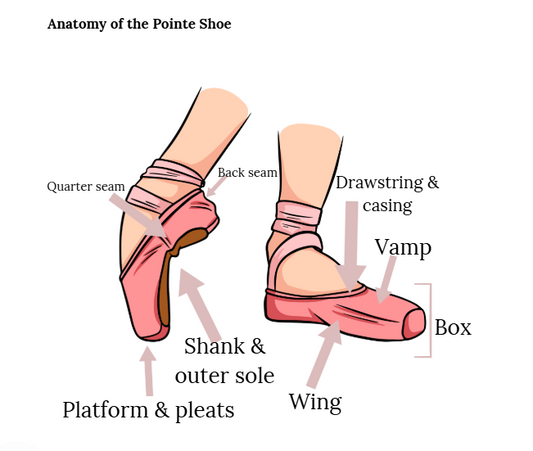 Understand the Anatomy of Your Pointe Shoes