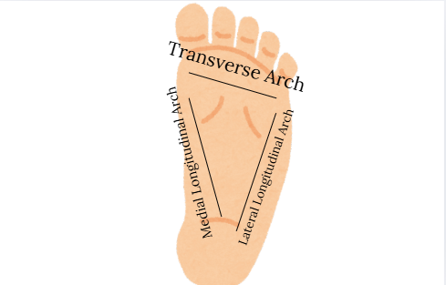 Toes Curling en Pointe
